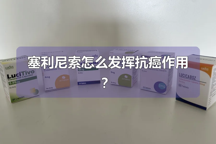 塞利尼索怎么发挥抗癌作用？