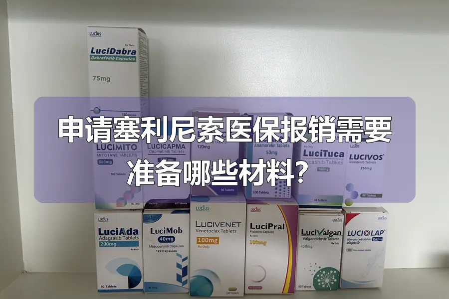 申请塞利尼索医保报销需要准备哪些材料？