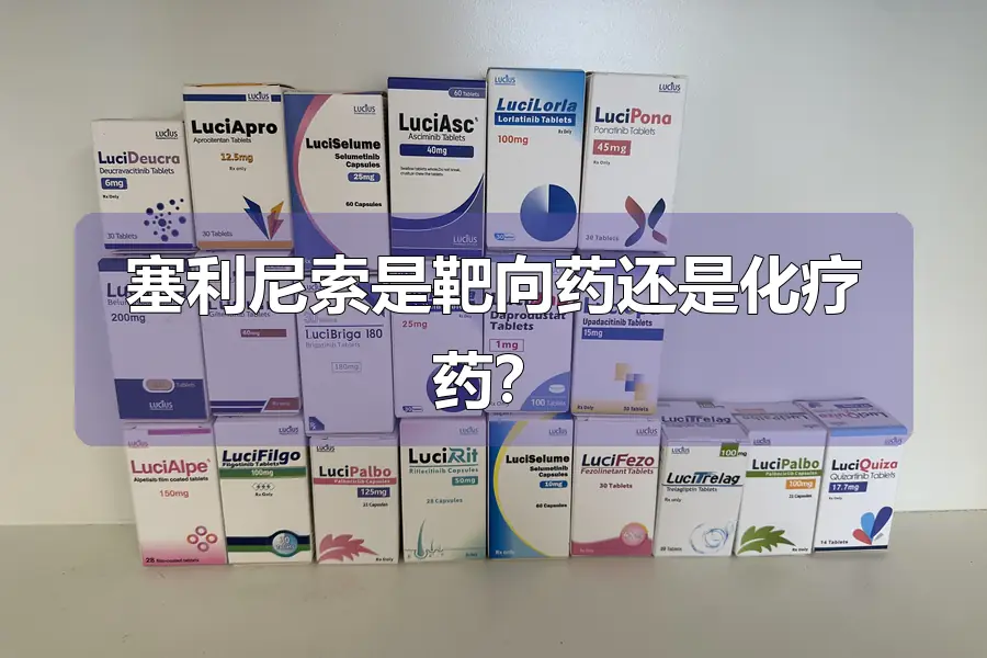 塞利尼索是靶向药还是化疗药？